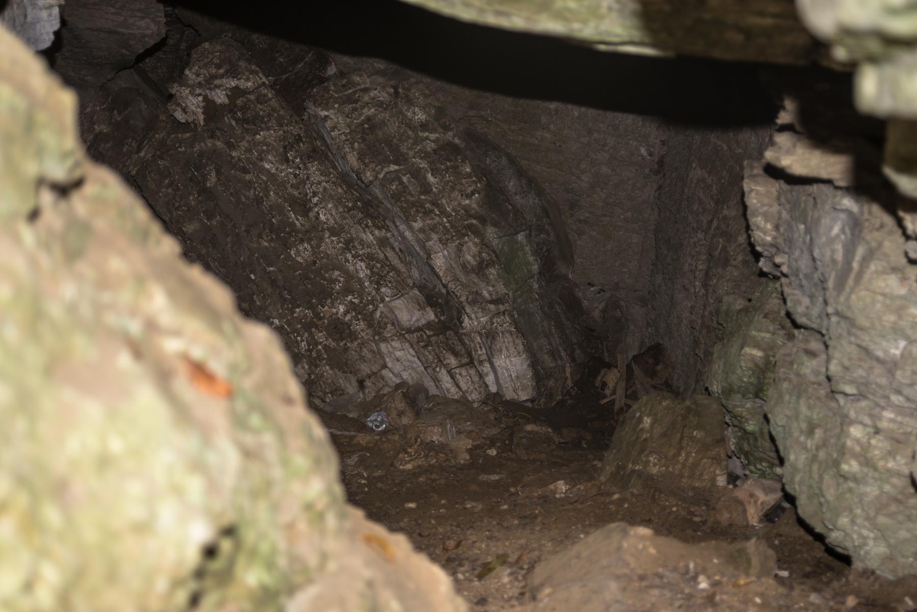 Пещера Аммональная