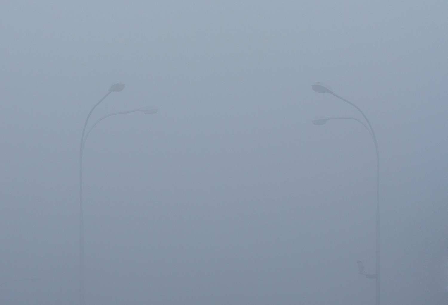 Туман в Краснодаре