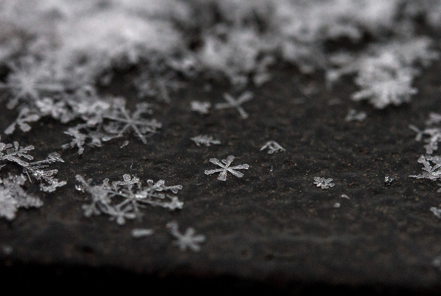 Снег, фото Евгения Маханько