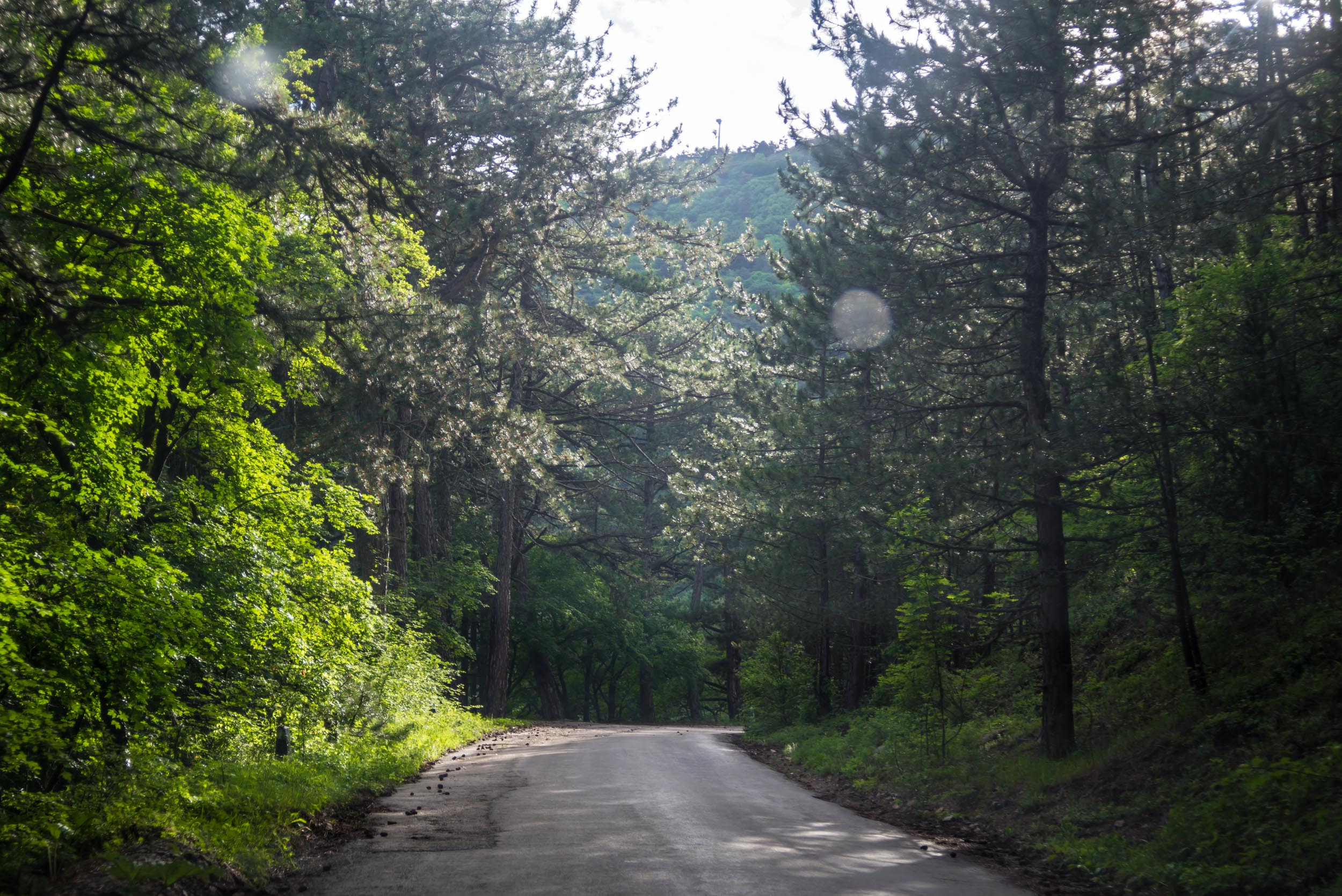 Дороги в Крыму - Кукарта.ру