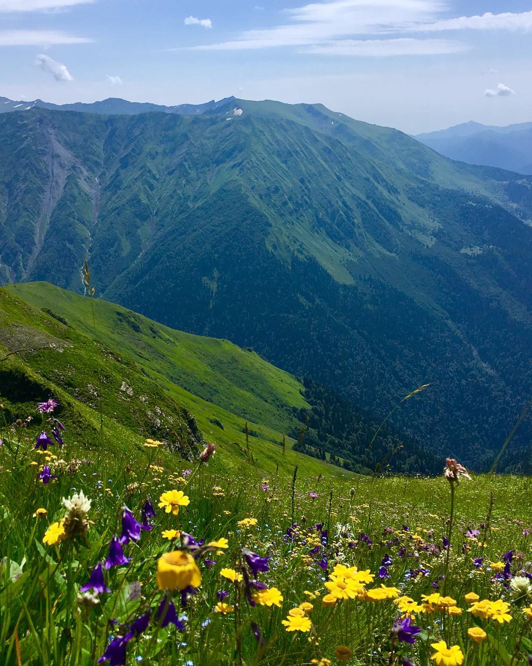 Горы в сочи