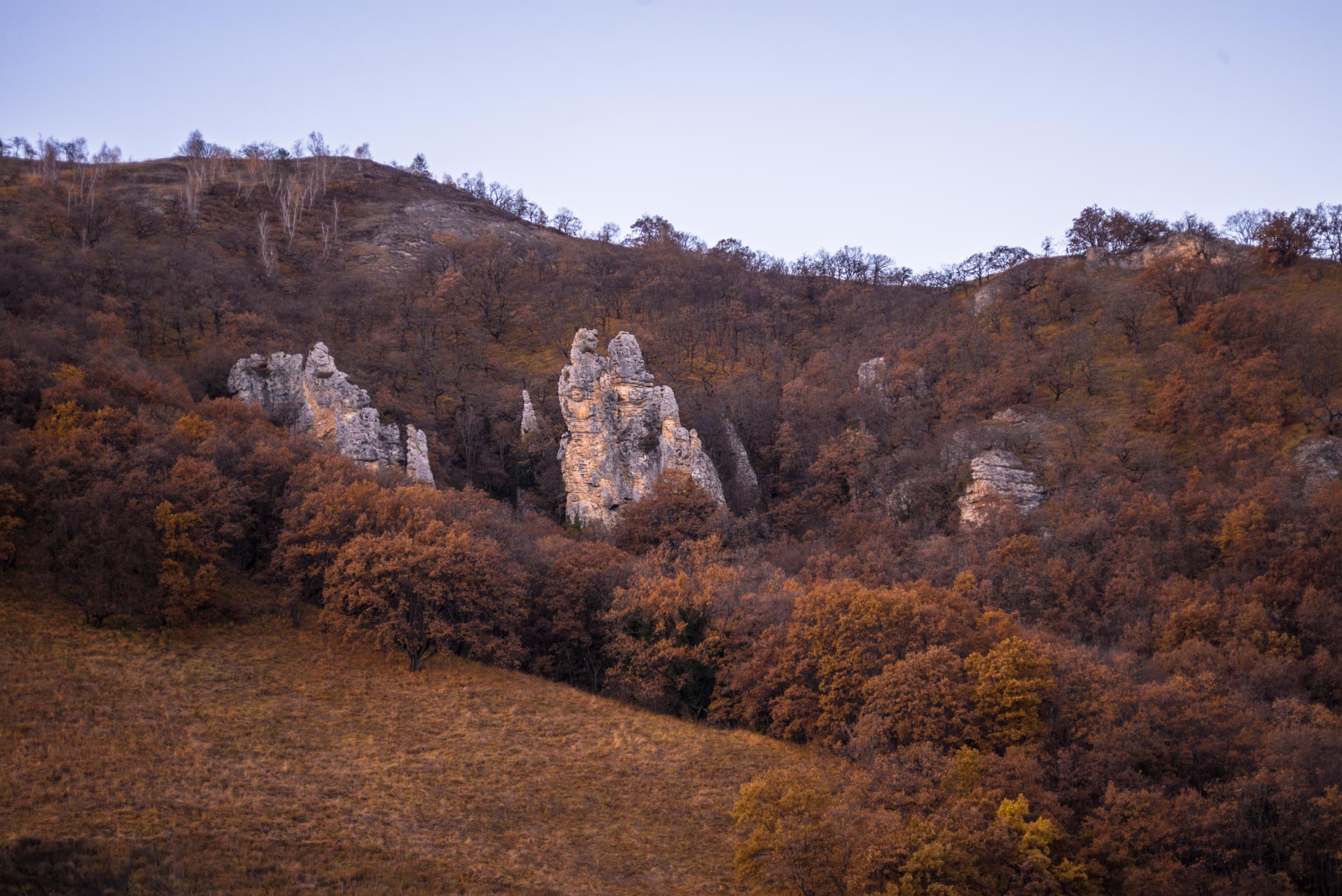 Хребет Герпегем - Кукарта.ру