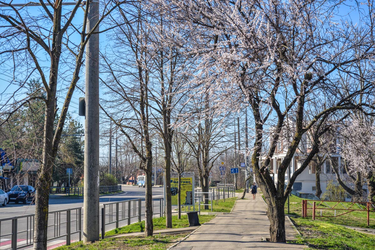 Рождественский парк - Кукарта.ру