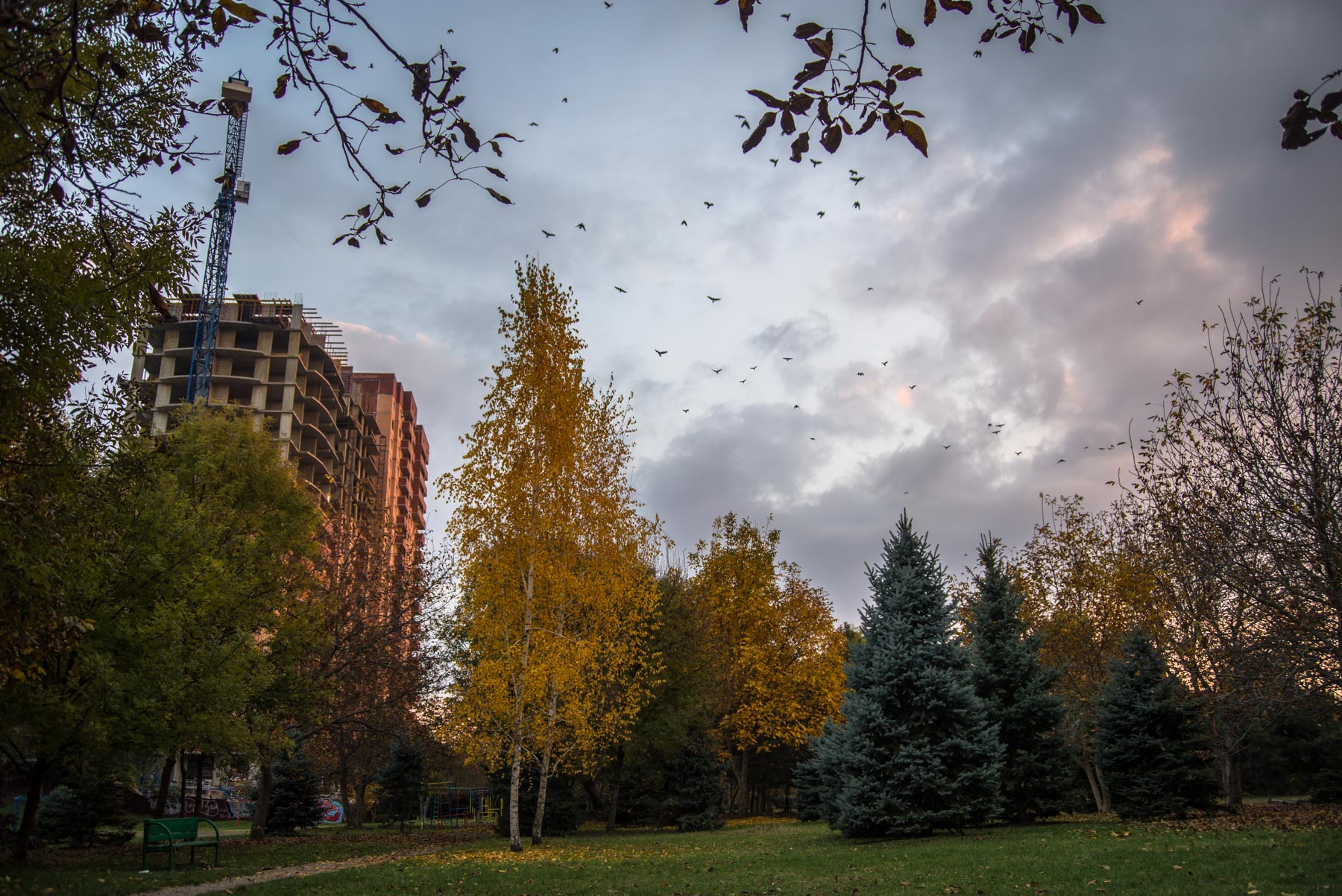 Рождественский парк - Кукарта.ру