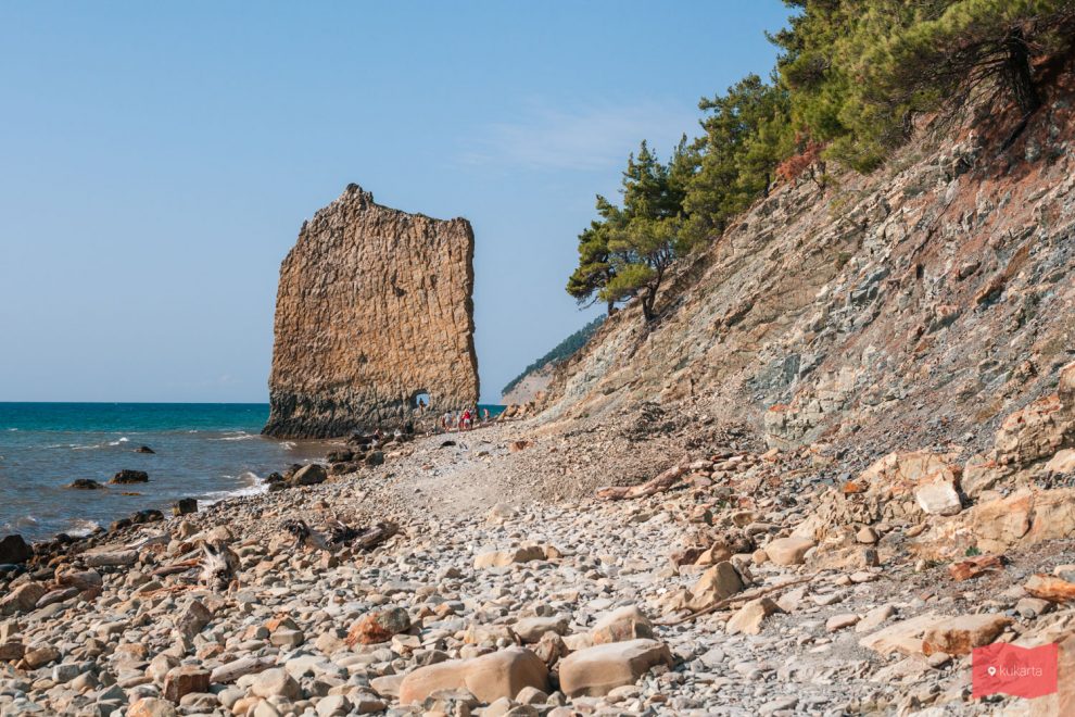 Прасковеевка краснодарский край отдых