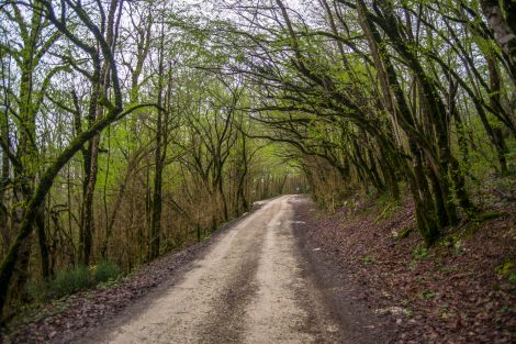 DSC 2954 Навалищенское ущелье как добраться на машине