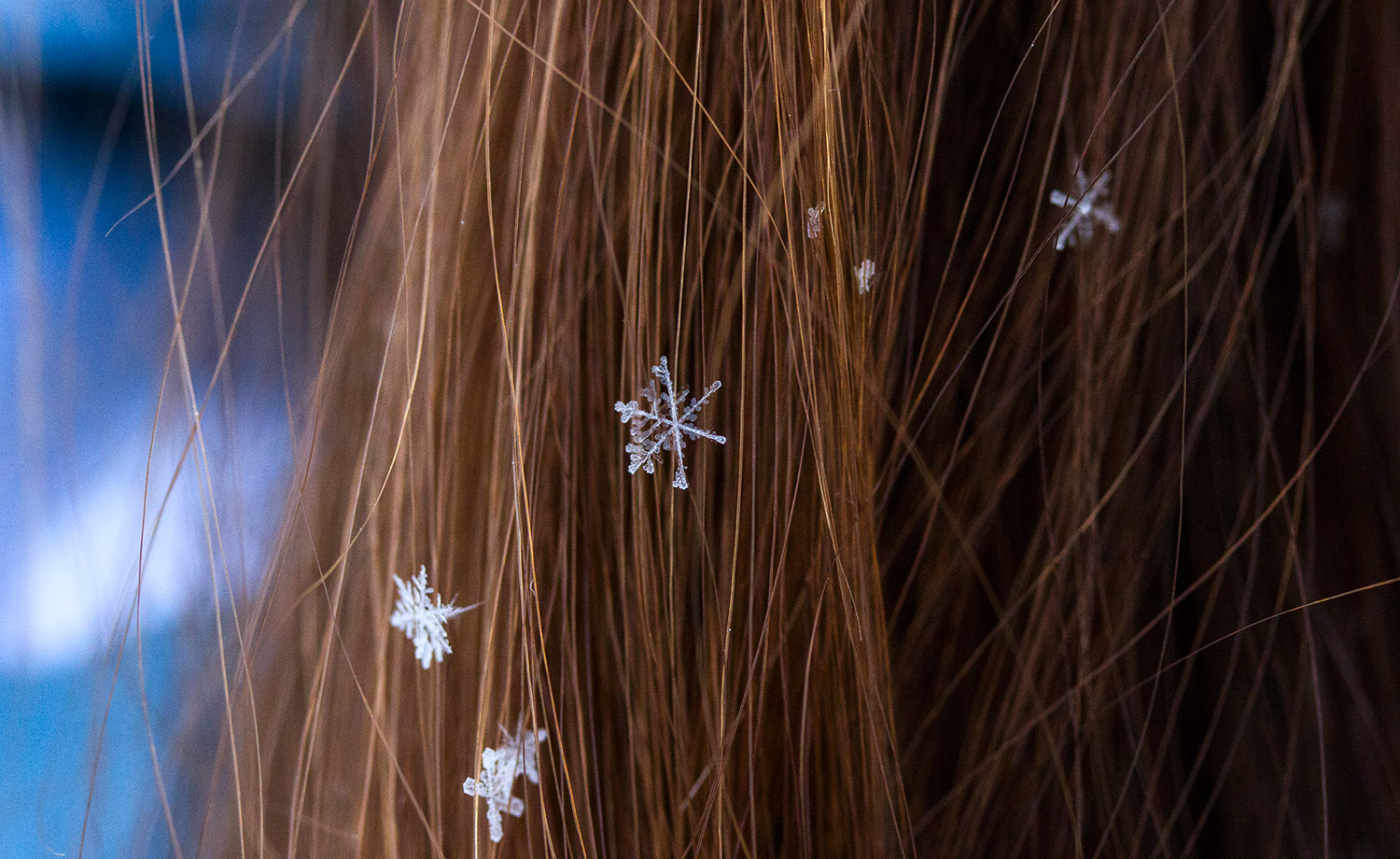 Снег, фото Евгения Маханько