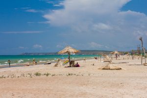 Веселовка Эко Спот