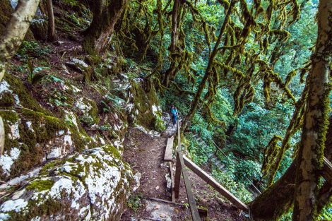 MG 9515 Навалищенское ущелье как добраться на машине