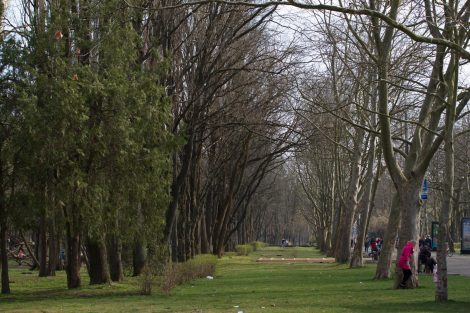 площадь солнечного острова в краснодаре