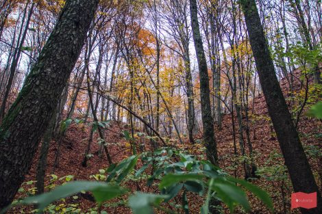 Волчьи ворота чибий как добраться на машине ущелье. Смотреть фото Волчьи ворота чибий как добраться на машине ущелье. Смотреть картинку Волчьи ворота чибий как добраться на машине ущелье. Картинка про Волчьи ворота чибий как добраться на машине ущелье. Фото Волчьи ворота чибий как добраться на машине ущелье