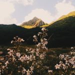 Гора Ачишхо в Сочи