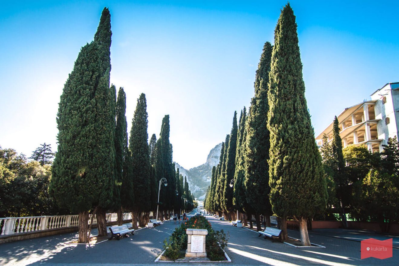 аллея аполлонов симеиз история. MG 0846. аллея аполлонов симеиз история фото. аллея аполлонов симеиз история-MG 0846. картинка аллея аполлонов симеиз история. картинка MG 0846. Внимание! С 25 октября 2021 года в Ялте действуют особые правила посещения массовых мест аллея аполлонов симеиз история. MG 0846. аллея аполлонов симеиз история фото. аллея аполлонов симеиз история-MG 0846. картинка аллея аполлонов симеиз история. картинка MG 0846. Внимание! С 25 октября 2021 года в Ялте действуют особые правила посещения массовых мест