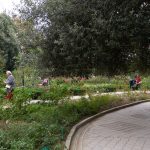 Никитский ботанический сад, Никита, Ялта