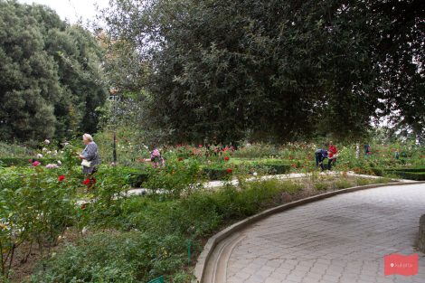 Никитский ботанический сад, Никита, Ялта