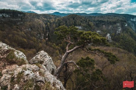 Что нужно отдыхающим в краснодарском крае. Смотреть фото Что нужно отдыхающим в краснодарском крае. Смотреть картинку Что нужно отдыхающим в краснодарском крае. Картинка про Что нужно отдыхающим в краснодарском крае. Фото Что нужно отдыхающим в краснодарском крае Что нужно отдыхающим в краснодарском крае. Смотреть фото Что нужно отдыхающим в краснодарском крае. Смотреть картинку Что нужно отдыхающим в краснодарском крае. Картинка про Что нужно отдыхающим в краснодарском крае. Фото Что нужно отдыхающим в краснодарском крае