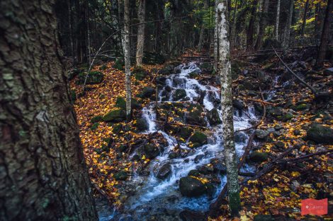 Водопад шумка теберда как добраться на машине. Смотреть фото Водопад шумка теберда как добраться на машине. Смотреть картинку Водопад шумка теберда как добраться на машине. Картинка про Водопад шумка теберда как добраться на машине. Фото Водопад шумка теберда как добраться на машине