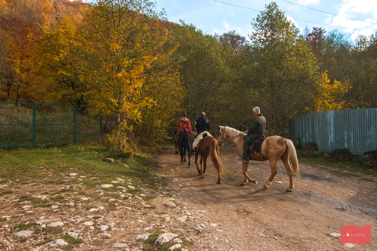 Конные прогулки в посёлке Мезмай