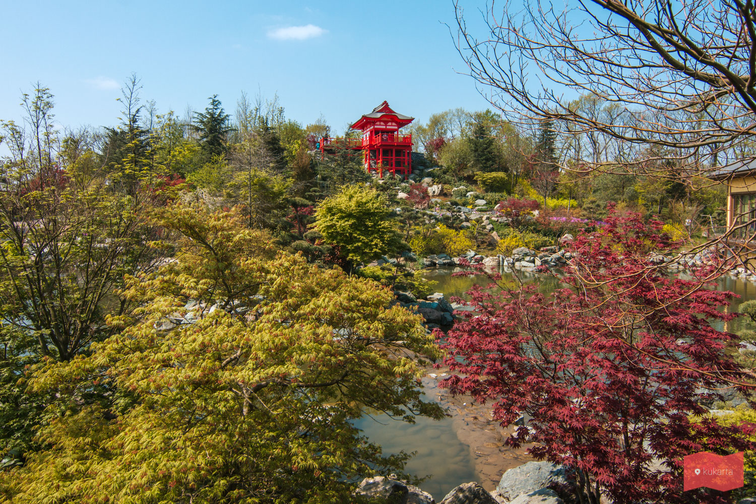 Японский сад, парк "Краснодар" (Галицкого)
